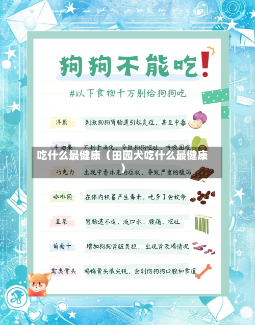 吃什么最健康（田园犬吃什么最健康）-第1张图片
